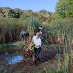 Chantiers "Restauration des mares"