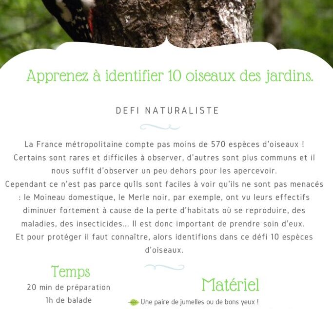 thumbnail of Fiche Défi – 10 oiseaux