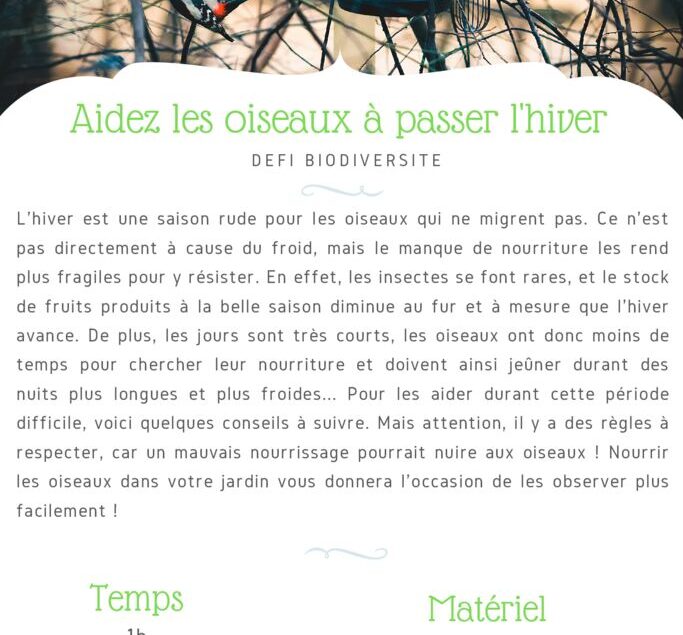 thumbnail of Fiche Défi – Aider les oiseaux en hiver