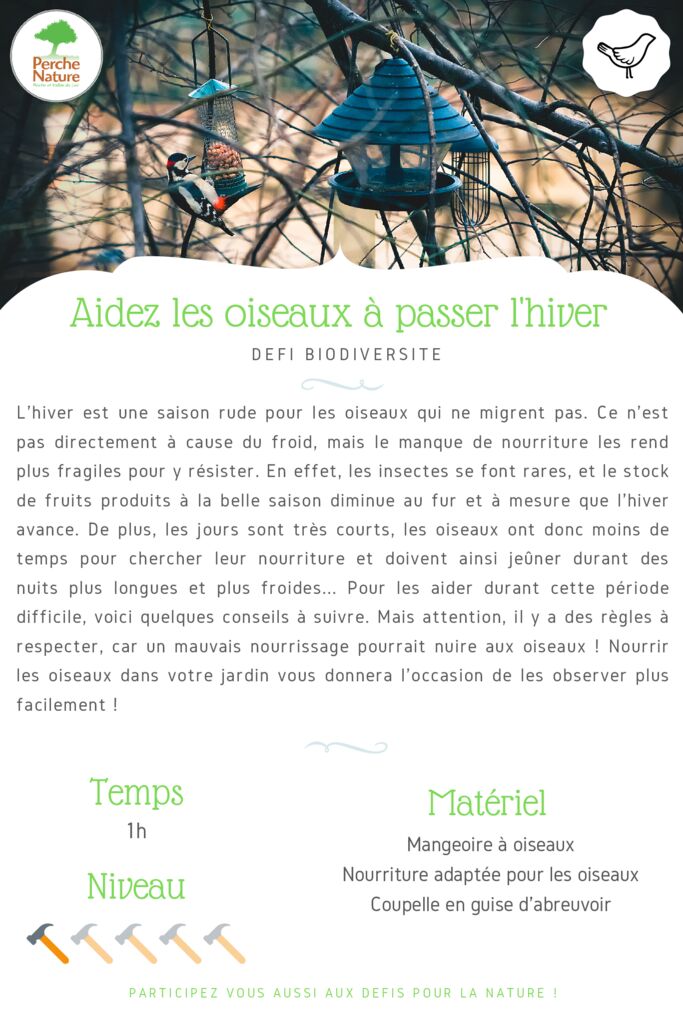 thumbnail of Fiche Défi – Aider les oiseaux en hiver