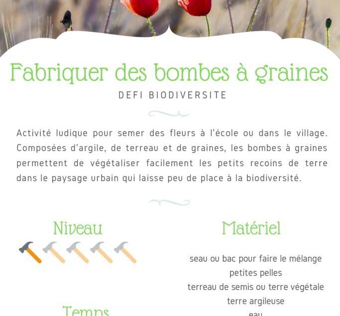 thumbnail of Fiche Défi – Bombes à graines