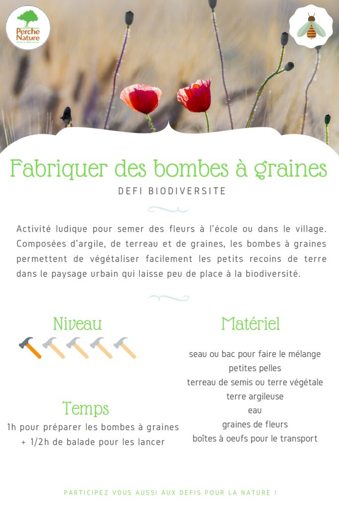 thumbnail of Fiche Défi – Bombes à graines