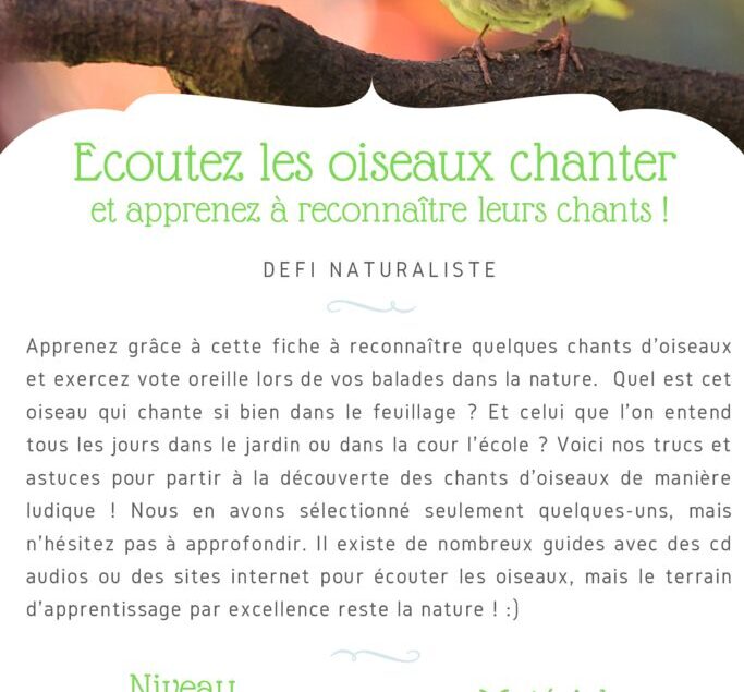 thumbnail of Fiche Défi – Chants d’oiseaux