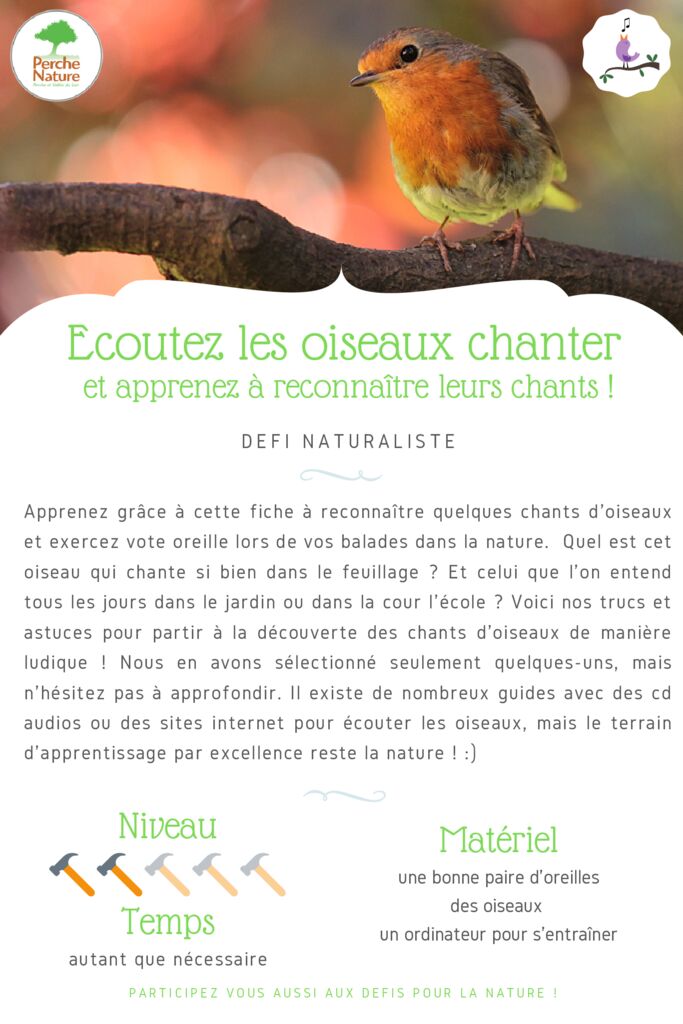 thumbnail of Fiche Défi – Chants d’oiseaux