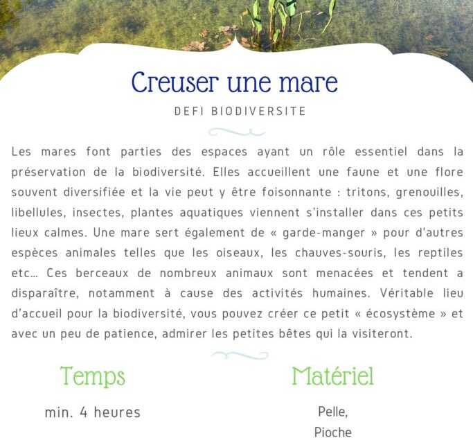 thumbnail of Fiche Défi – Creuser une mare