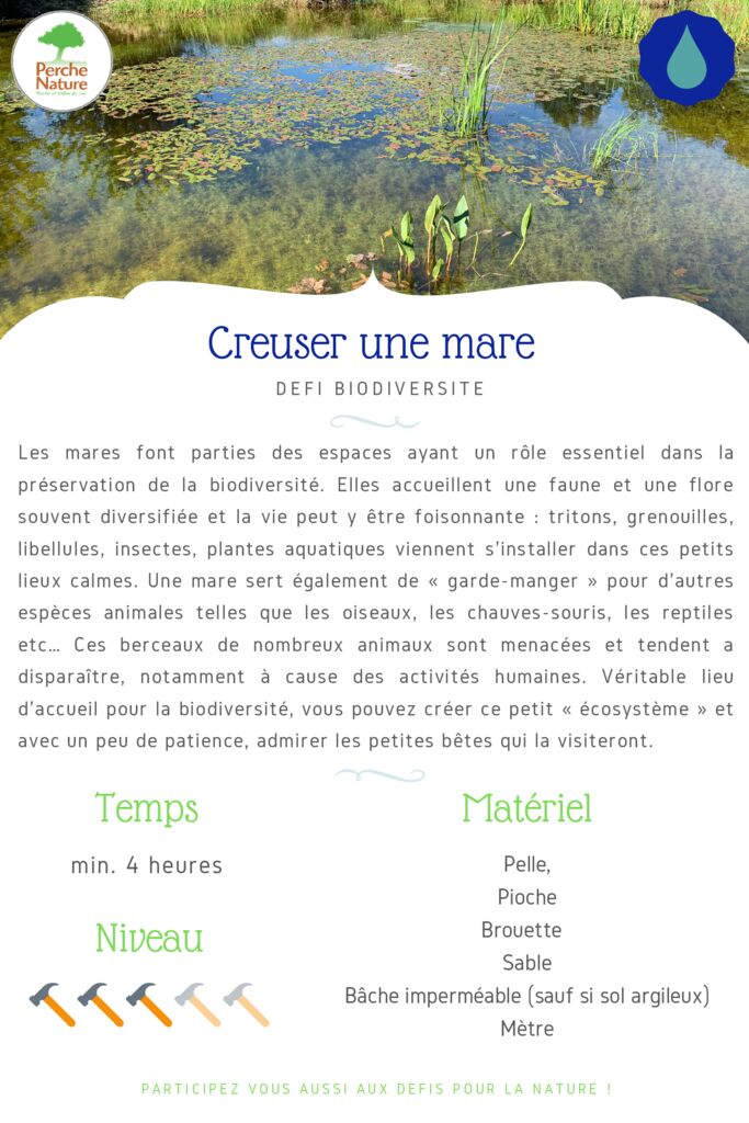 thumbnail of Fiche Défi – Creuser une mare