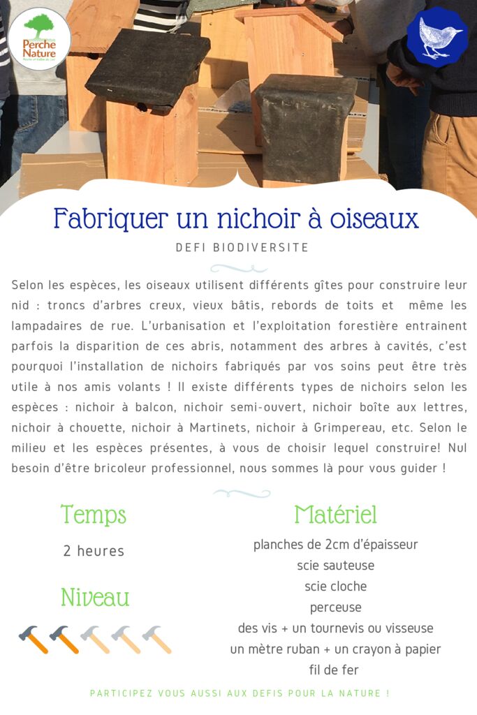 thumbnail of Fiche Défi – Fabriquer des nichoirs à oiseaux