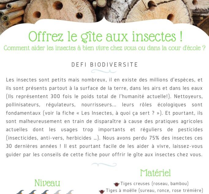 thumbnail of Fiche Défi – Offrez le gîte aux insectes