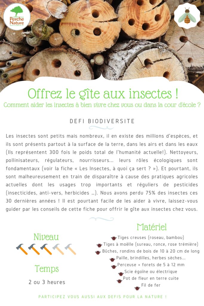 thumbnail of Fiche Défi – Offrez le gîte aux insectes