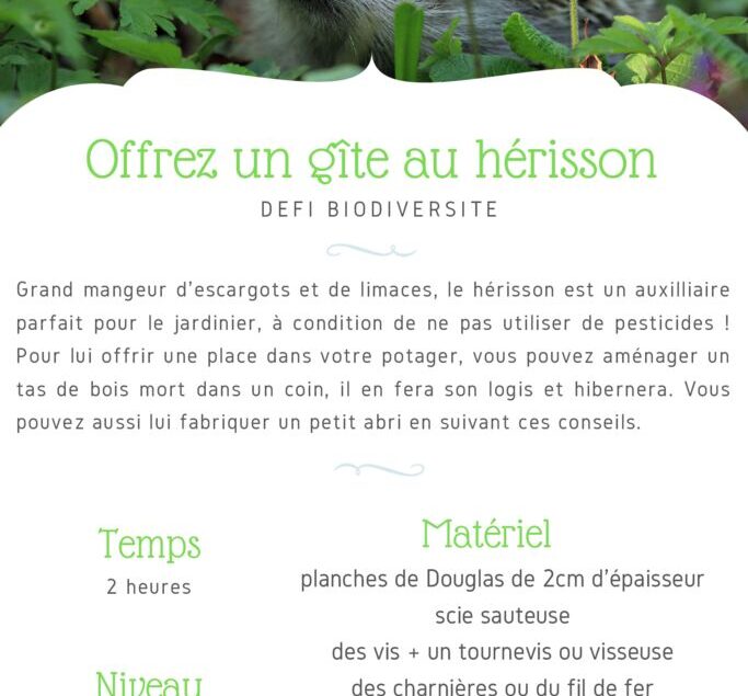 thumbnail of Fiche Défi – Offrez un gîte au hérisson