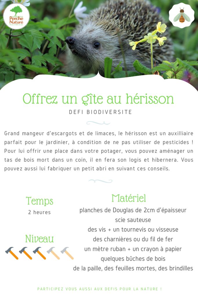 thumbnail of Fiche Défi – Offrez un gîte au hérisson