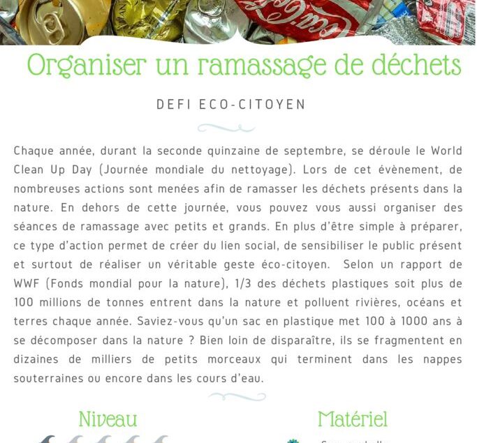 thumbnail of Fiche Défi – Organiser un ramassage de déchets