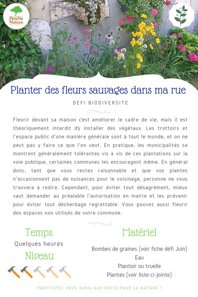 thumbnail of Fiche Défi – Planter des fleurs sauvages dans ma rue