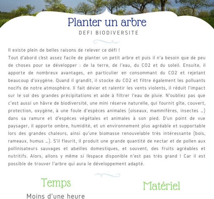 thumbnail of Fiche Défi – Planter un arbre + annexes