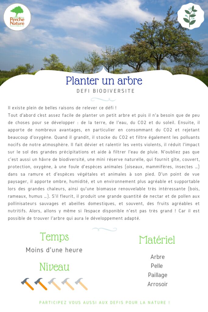 thumbnail of Fiche Défi – Planter un arbre + annexes