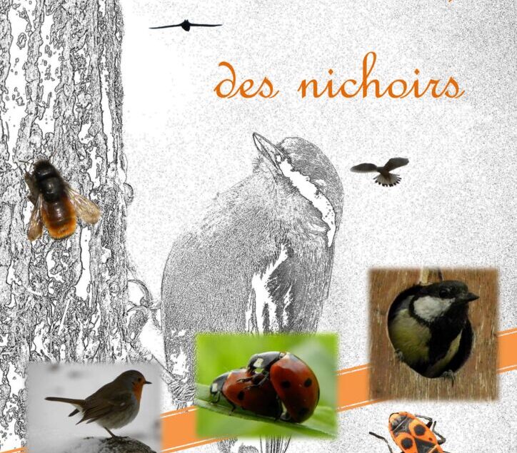 thumbnail of Guide-de-construction-de-nichoirs-PERCHE-NATURE